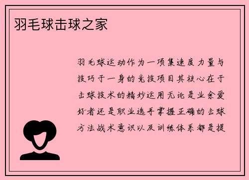 羽毛球击球之家